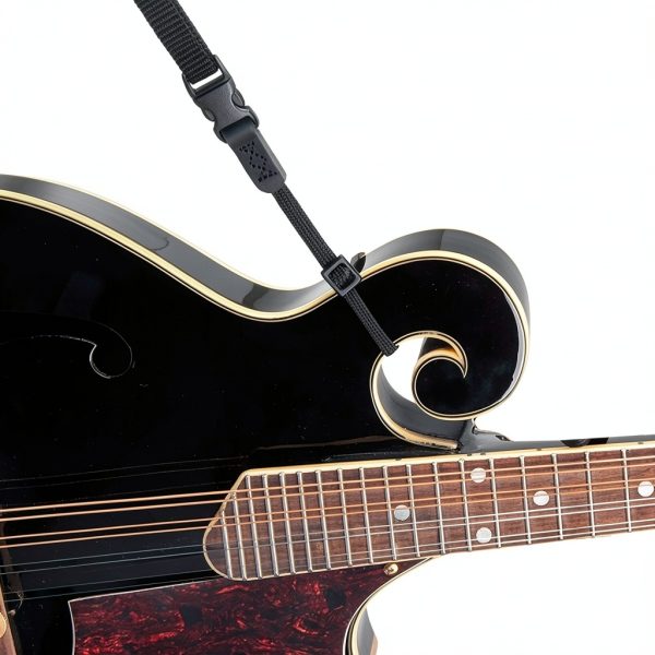Pavo Neoprene Woodwind Instrument Strap Black 4-String-4